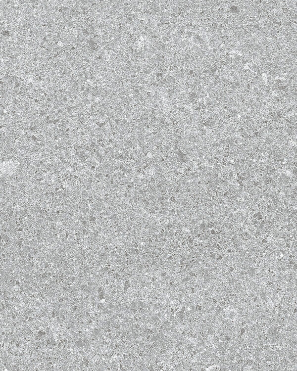 Prima (300 x 600) - Image 8
