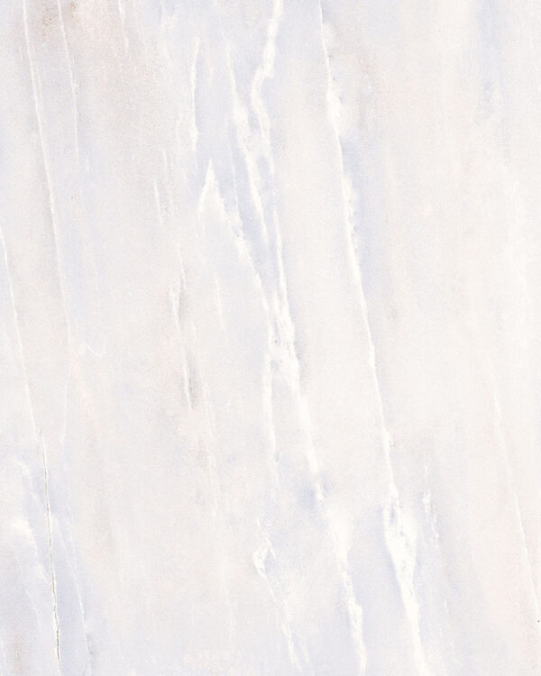 d'Foscari - Image 2