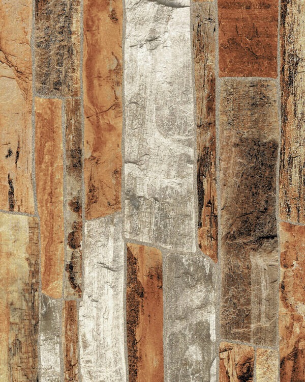 d'Triassic Fossil - Image 2