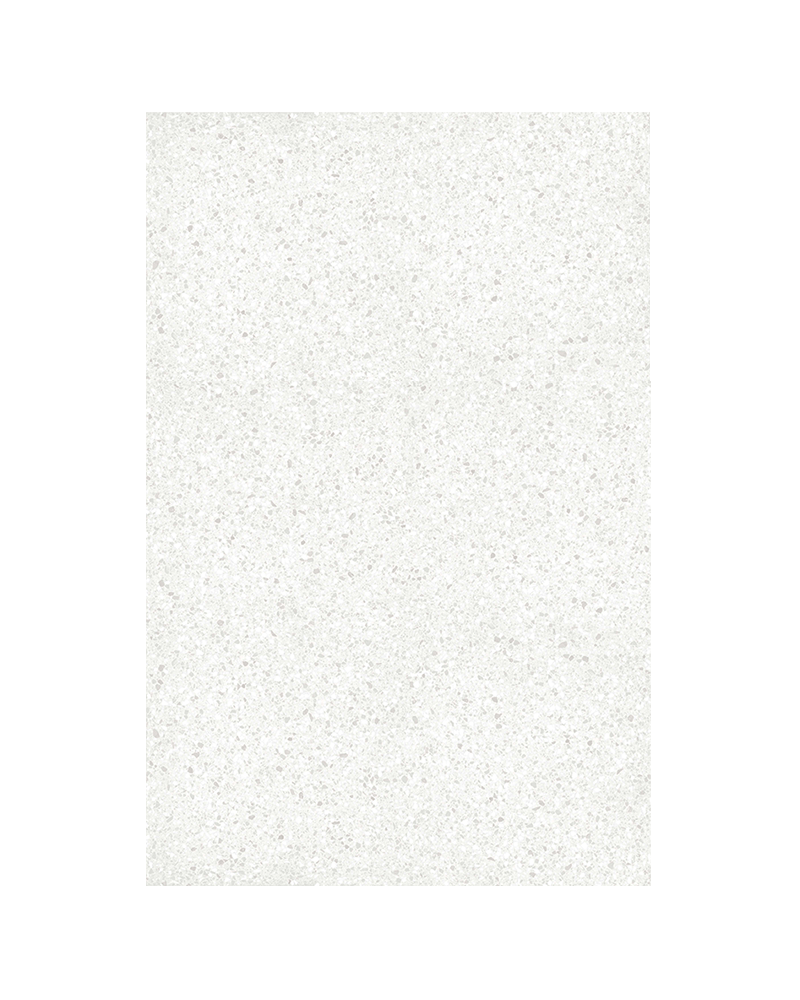Terrazzo Polished (300 x 600)