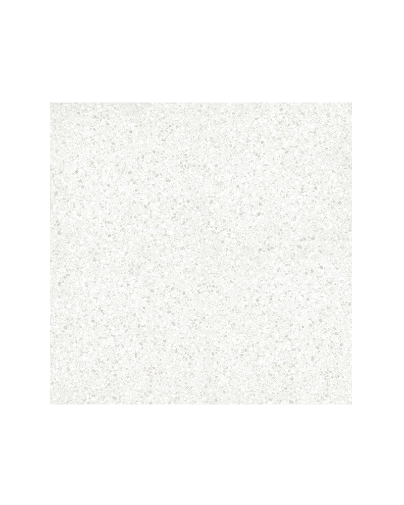 Terrazzo Polished (600 x 600)